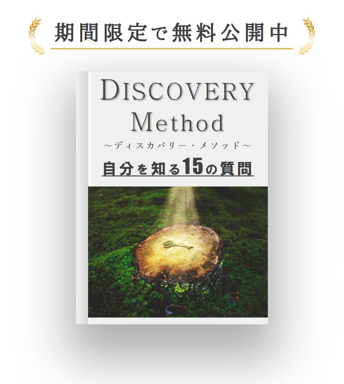 Discoveryメソッド
