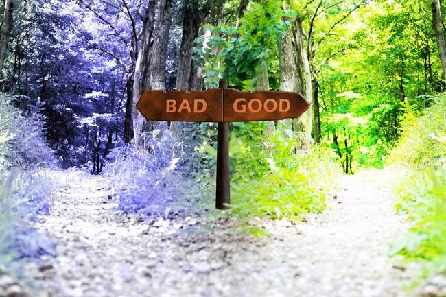 起業で上手くいく人と失敗する人の違い