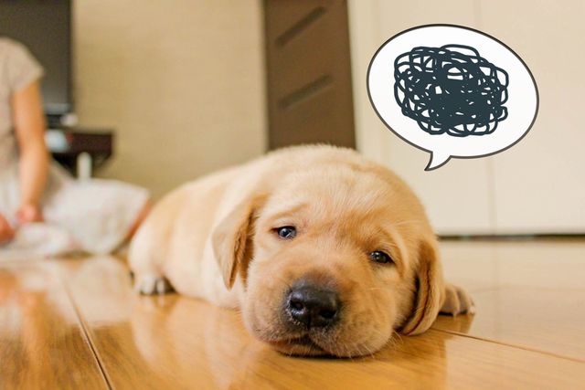 やれる仕事・やりたい仕事、どっちを選んでも後悔