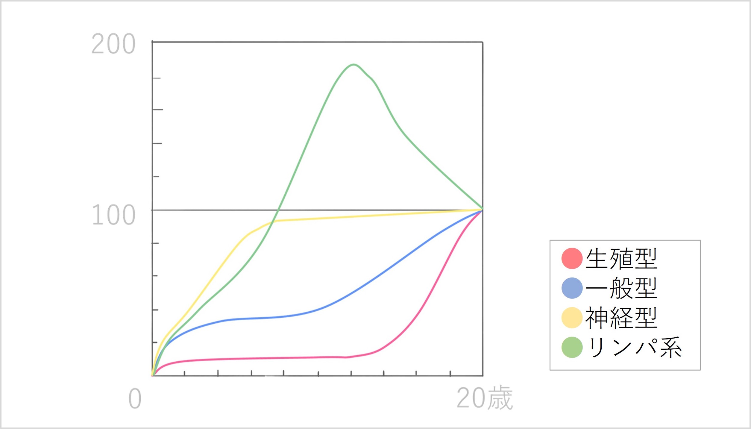 スキャモン発育曲線