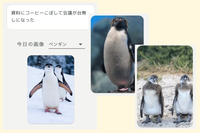 ペンギン日記のペンギン画像