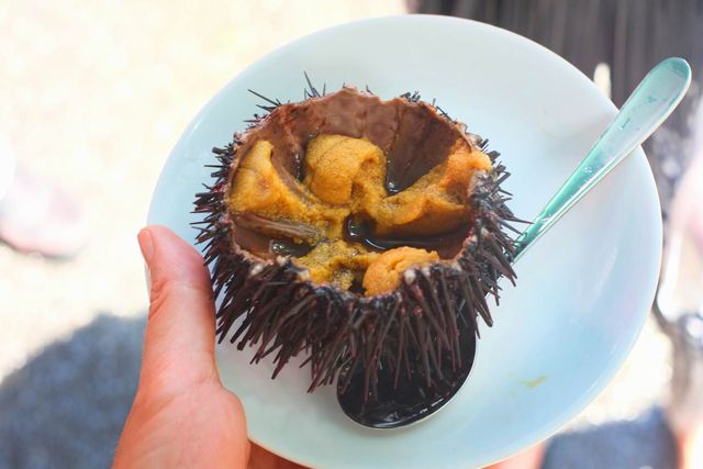 今年の目標でガゼウニを食べた