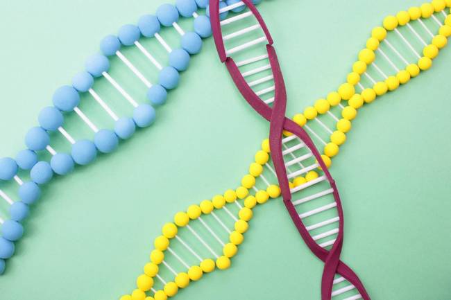 笑顔の効果はDNAに刻まれている