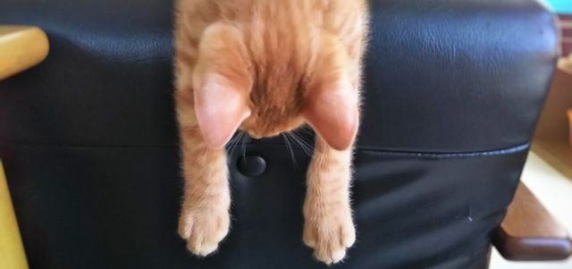 人の悩み相談に乗ると疲れる